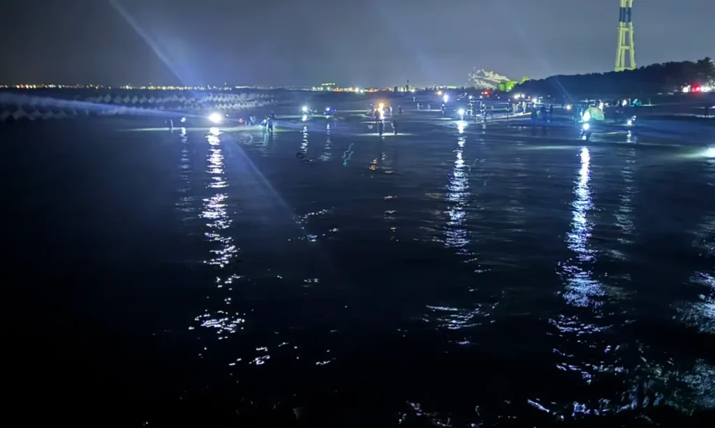 岩瀬浜でホタルイカ